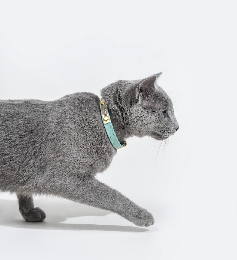 Light blue leather cat collar
