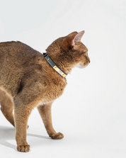 Pine green leather cat collar
