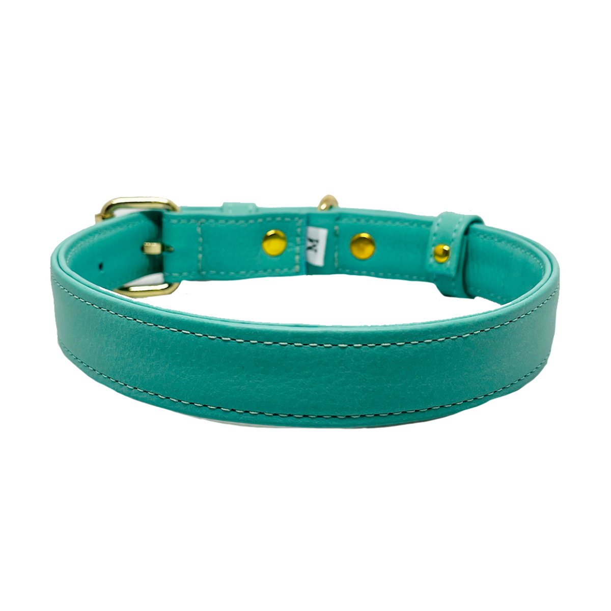 Turquoise leather dog collar