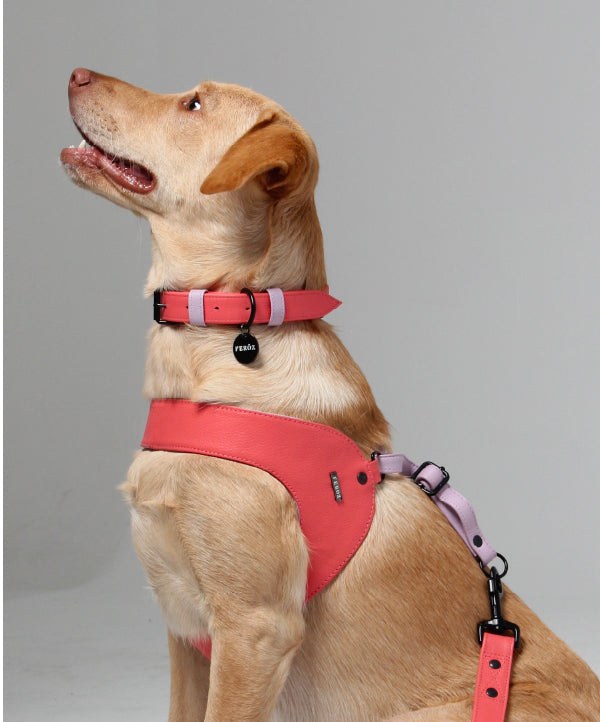 Salmon - lilac Dog Leather harness
