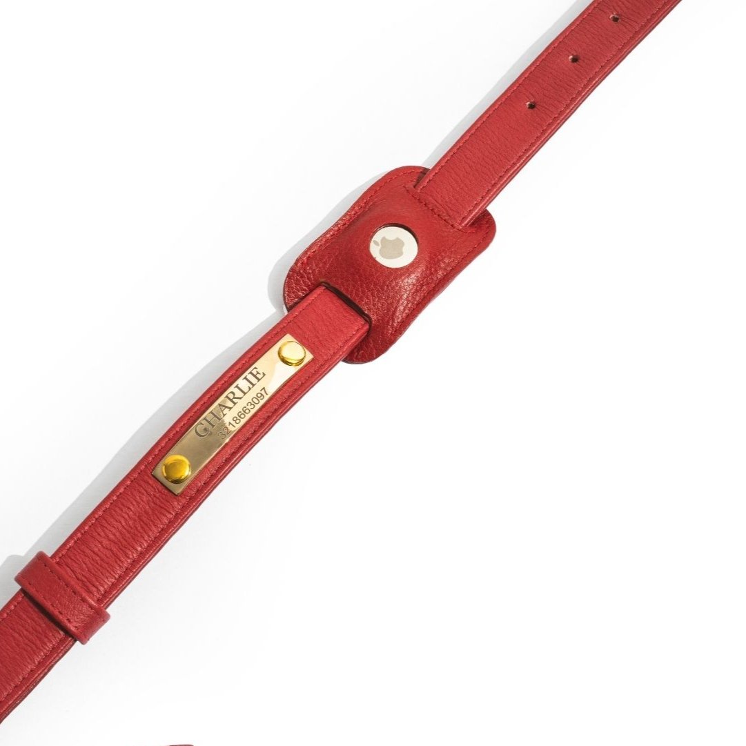 Scarlet Red Leather Mania Set
