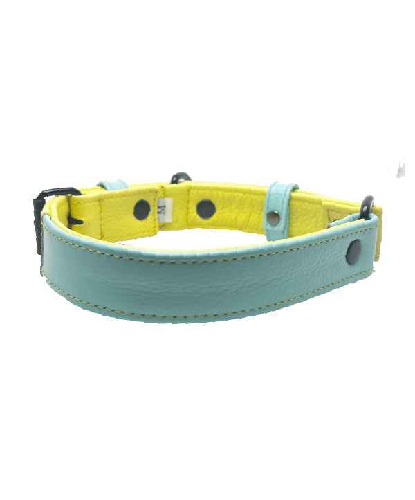 Baby Blue - Yellow lemon Dog Leather collar