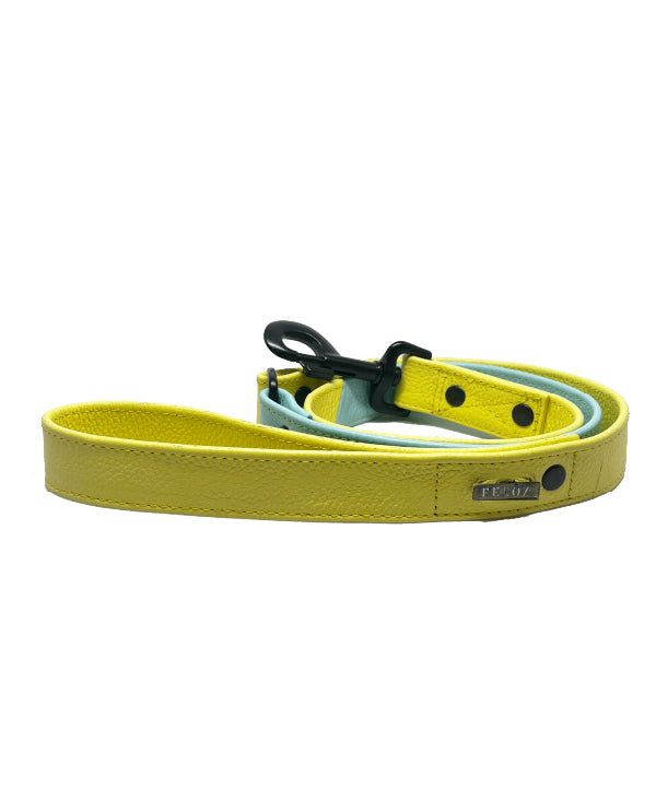 Baby Blue - Yellow lemon Dog Leather leash