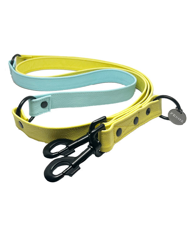 Baby Blue - Yellow lemon Dog Leather leash Hands Free