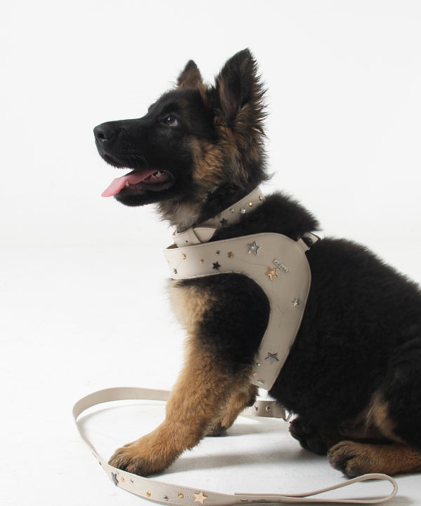 Beige Astral leather dog harness