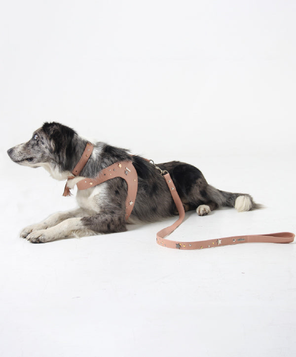 Dusty Rose Astral leather dog leash