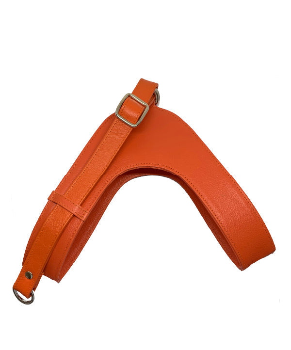Orange Astral leather dog harness