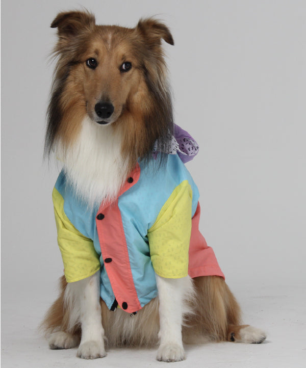 Pastel raincoat