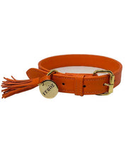 Orange leather dog collar