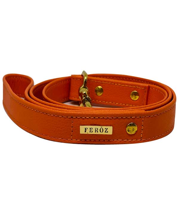 Orange leather dog leash