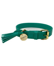 Turquoise leather dog collar