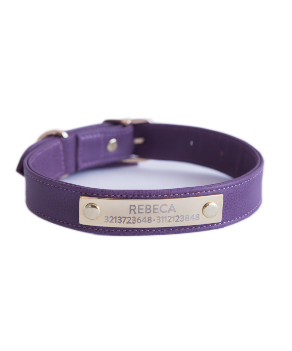 Aubergine leather dog collar