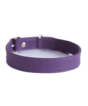 Aubergine leather dog collar