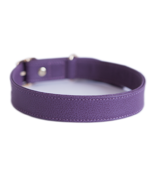 Collar-berenjera-04_ee0071f0-3a69-4fcf-bf8a-41b1e3656ac2.png