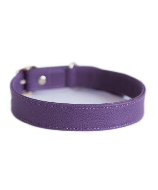 Aubergine leather dog collar