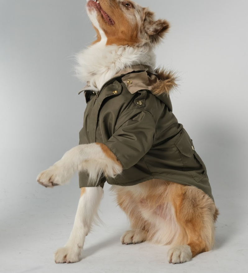 DogDoblefaceParkaMilitaryGreen_Beige.png