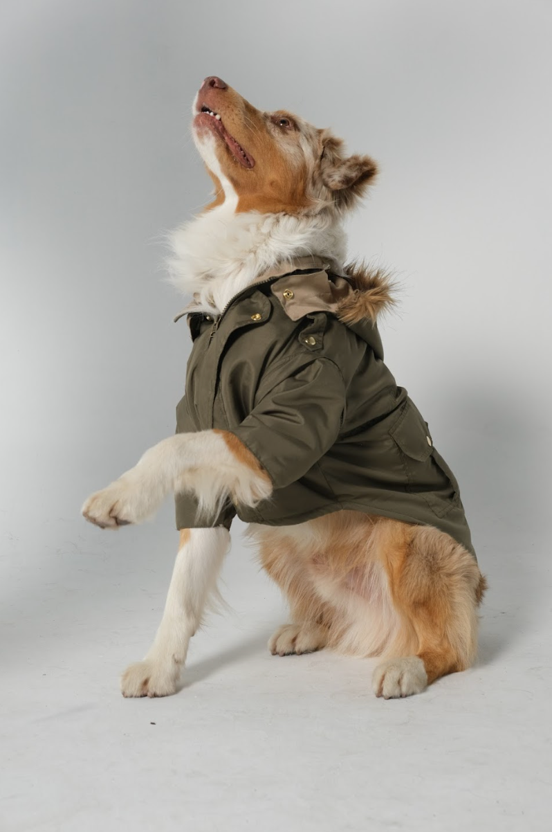 Dog Doble face Parka Military Green/Beige