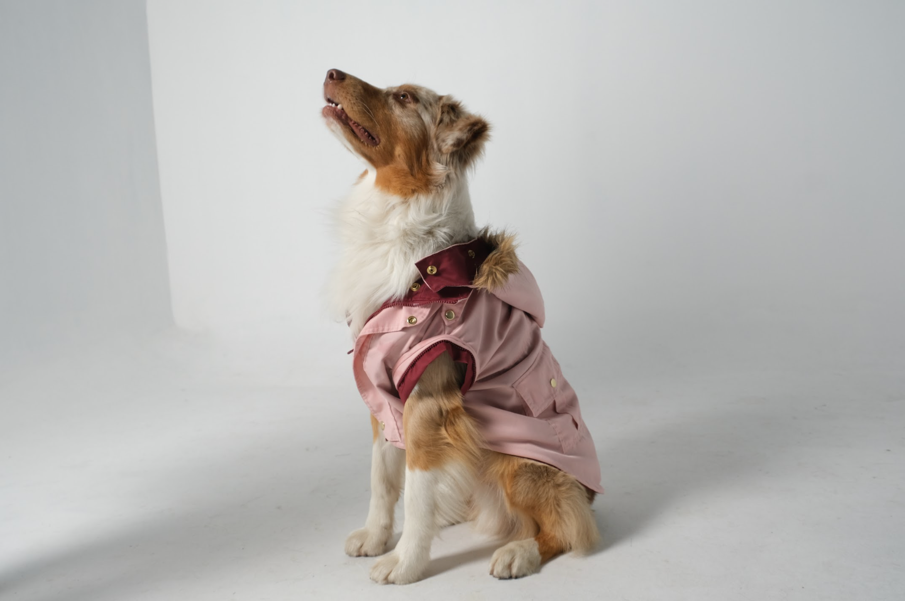 DogDoblefaceParkaMilitaryRuby_Pink-1.png