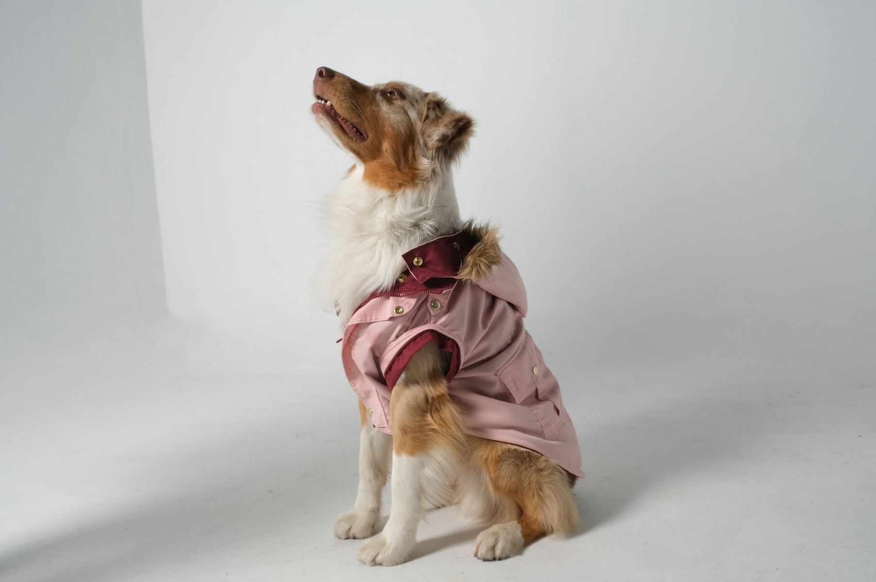 Dog Doble face Parka Military Ruby/Pink