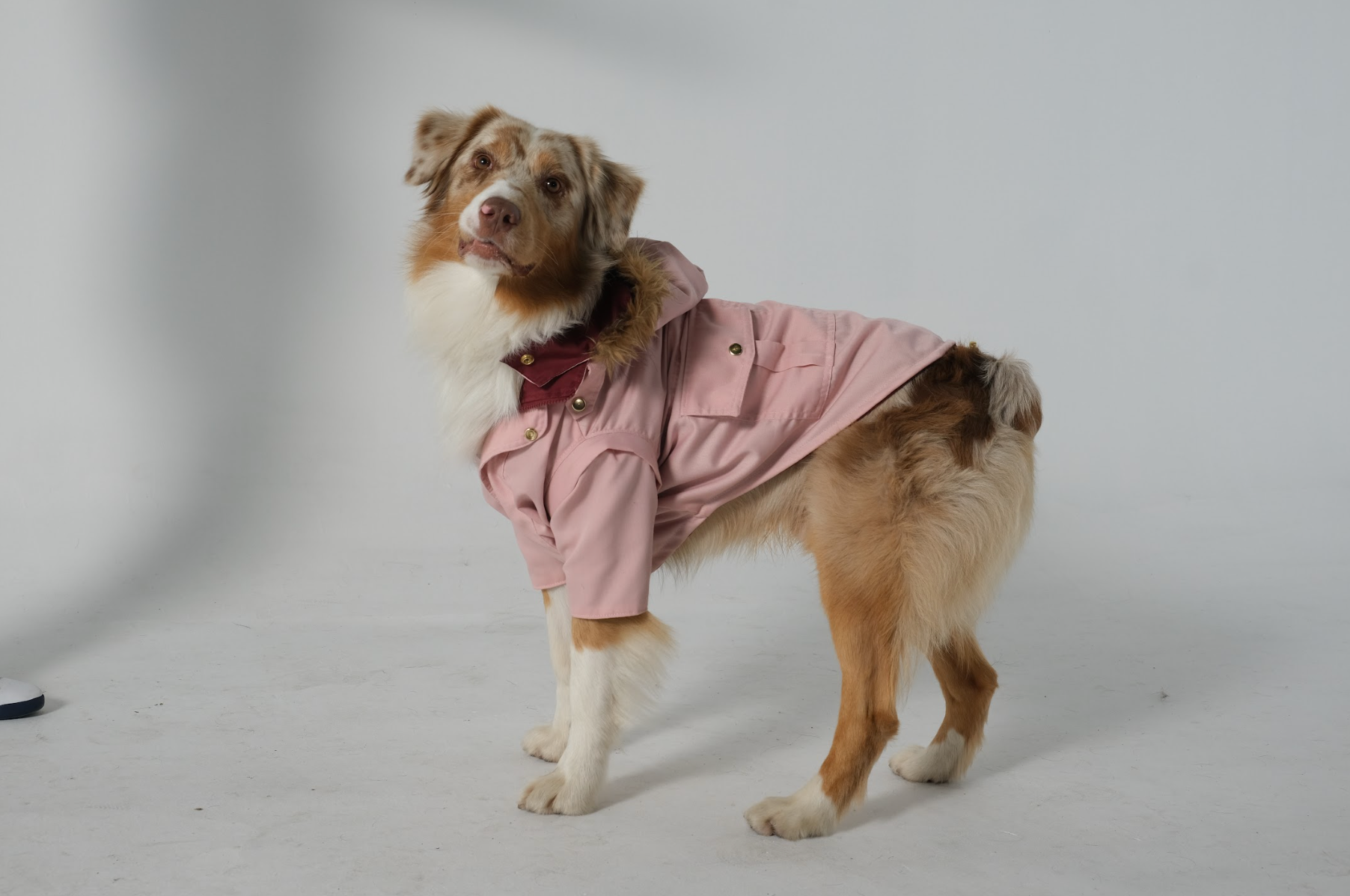 DogDoblefaceParkaMilitaryRuby_Pink-3.png