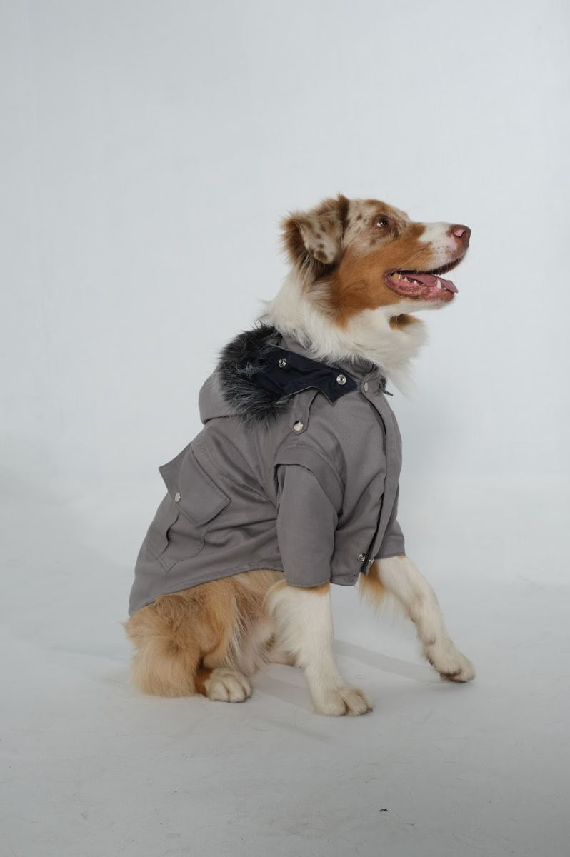 Dog Doble face Parka Navy/Grey