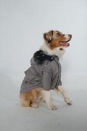 Dog Doble face Parka Navy/Grey