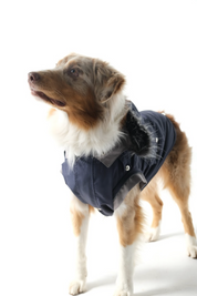 Dog Doble face Parka Navy/Grey