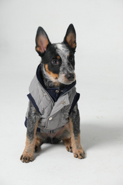 Dog Doble face Vest Navy/Grey