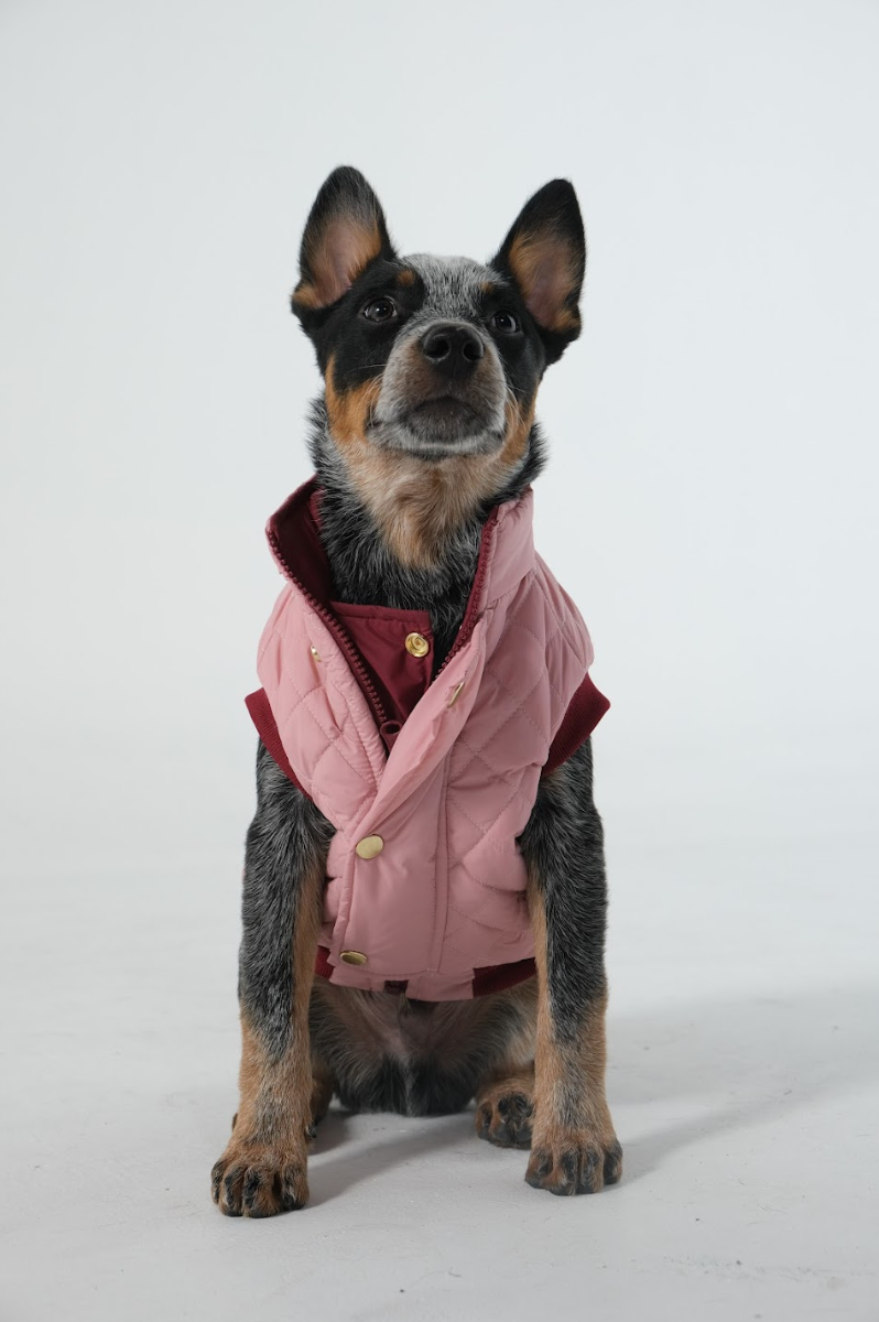Dog Doble face Vest Ruby/Pink
