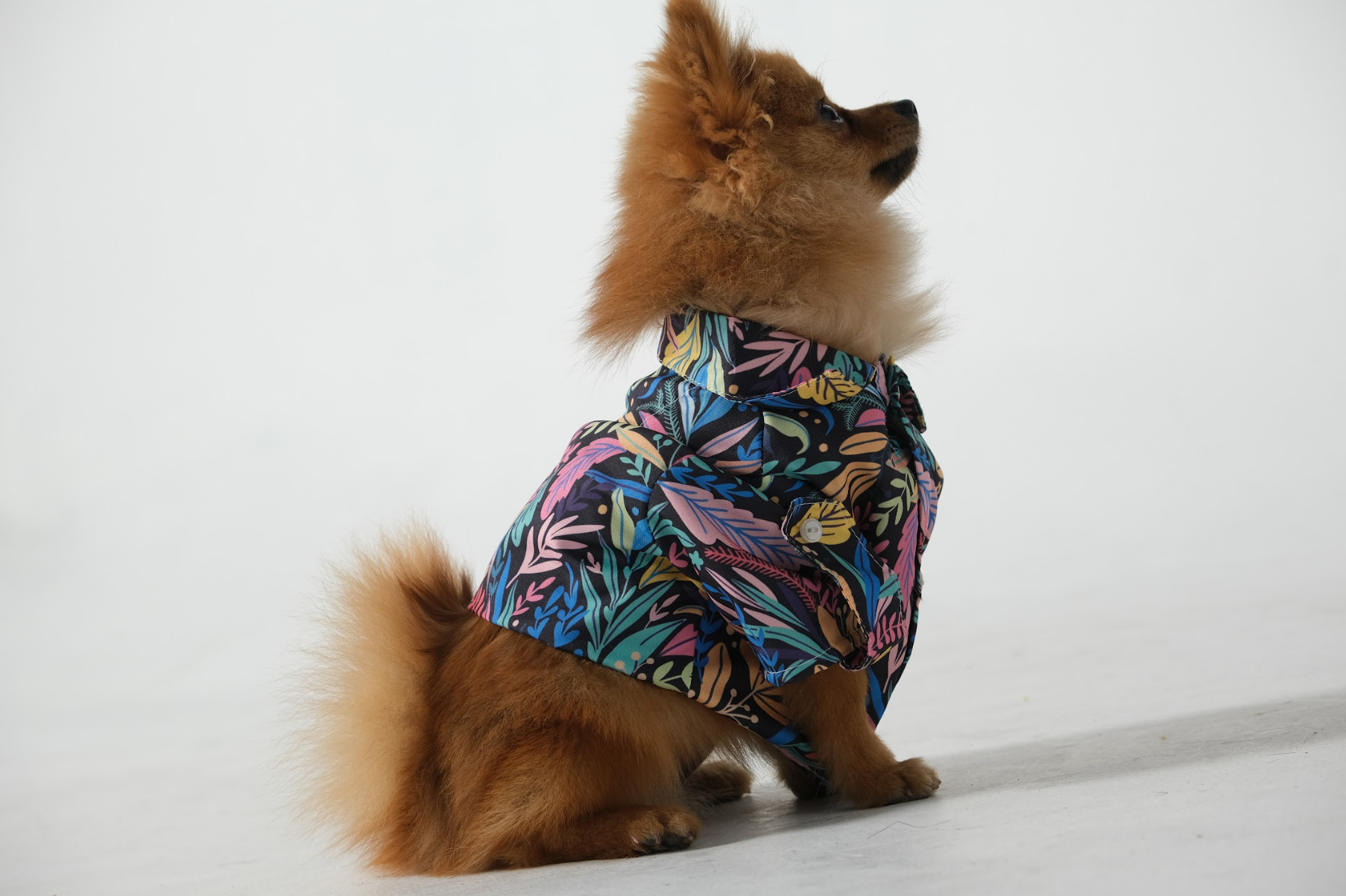 Custom-made Shirts