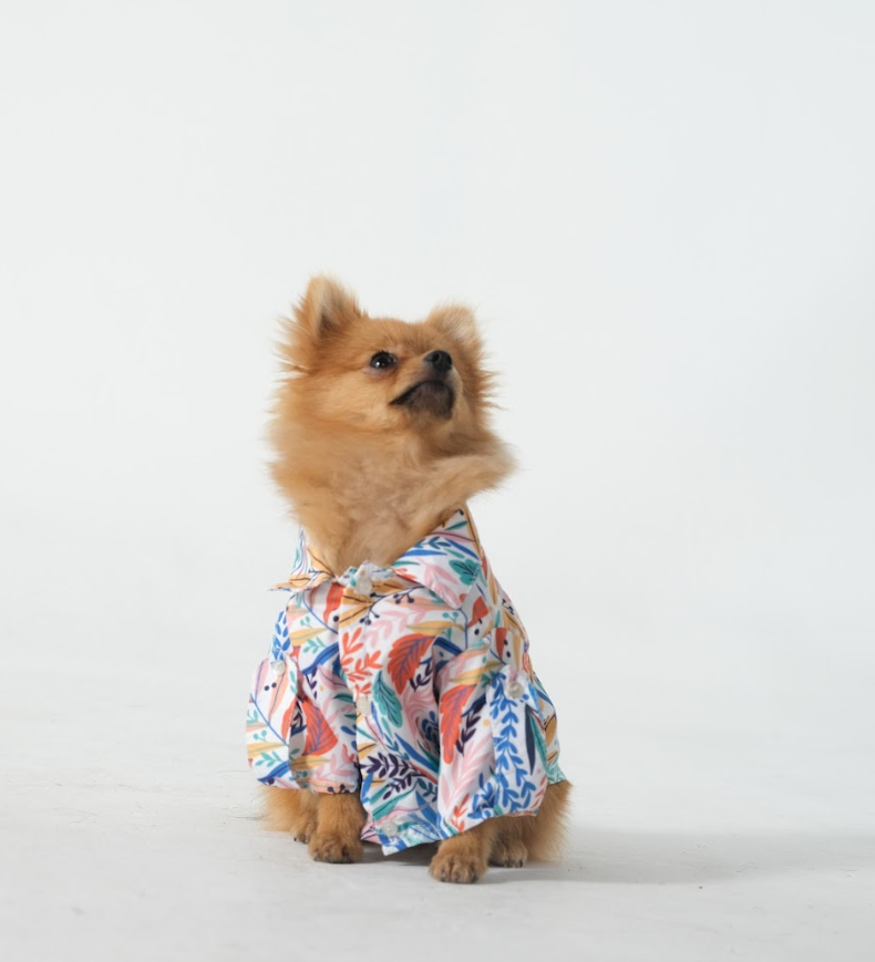 DogShirtTropicalwhite2_d2d059a7-d798-4e0b-9c5d-3adc01f234d5.png