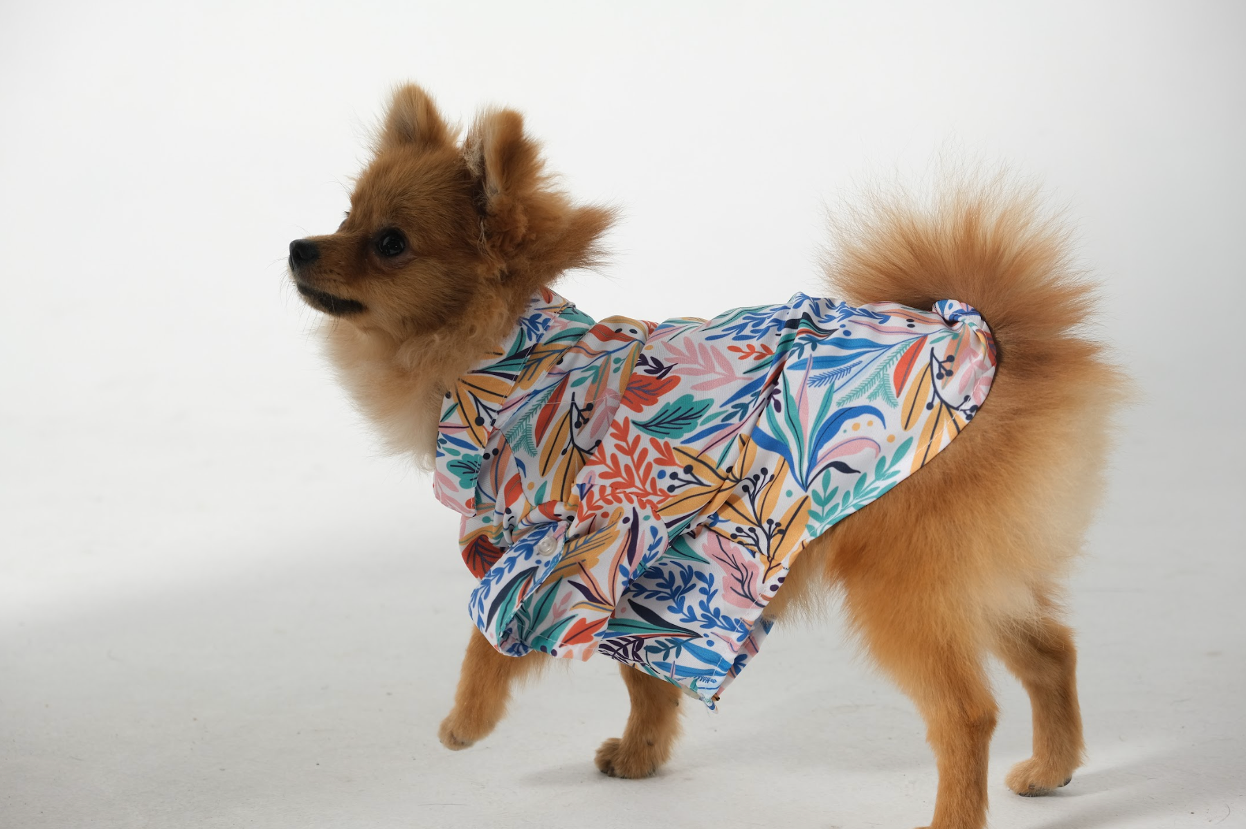 Dog Shirt Tropical White