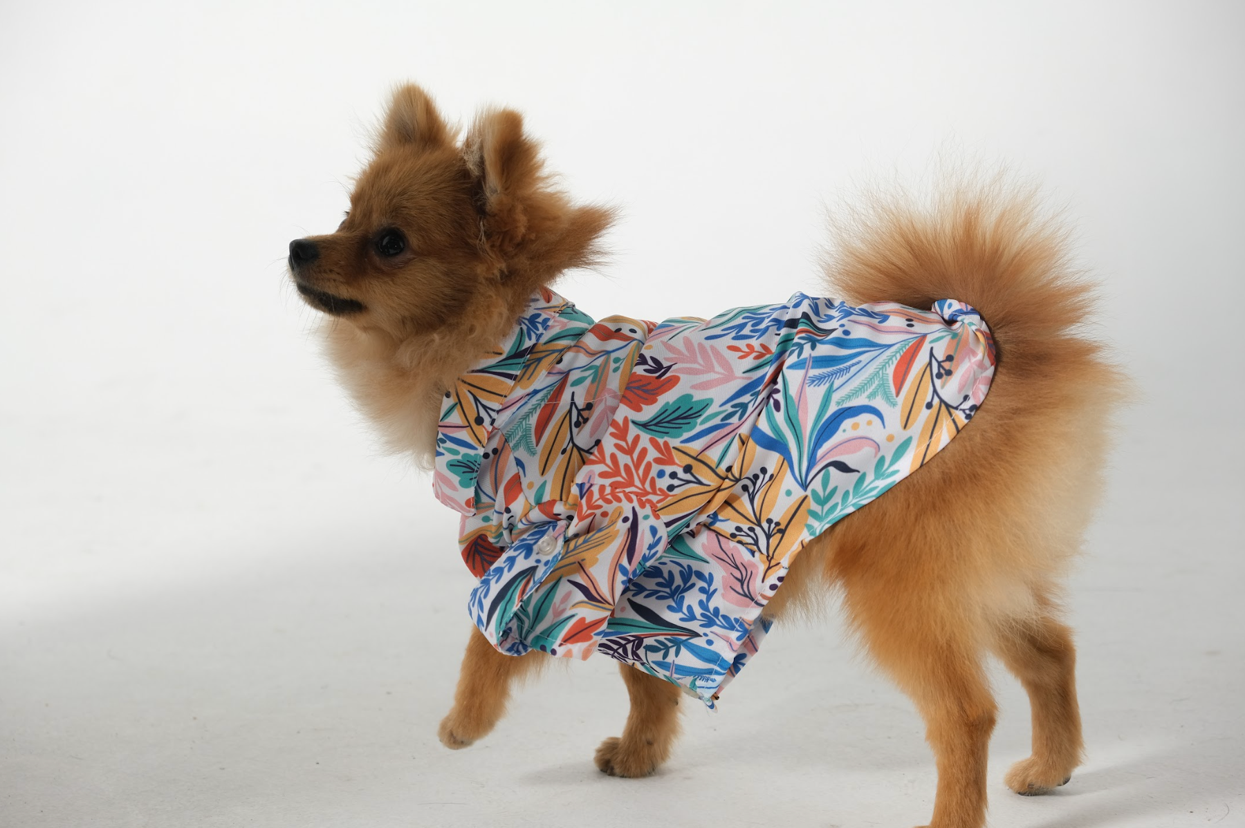 DogShirtTropicalwhite_edc1ecc0-b635-4cf5-acac-a50e89b766f7.png