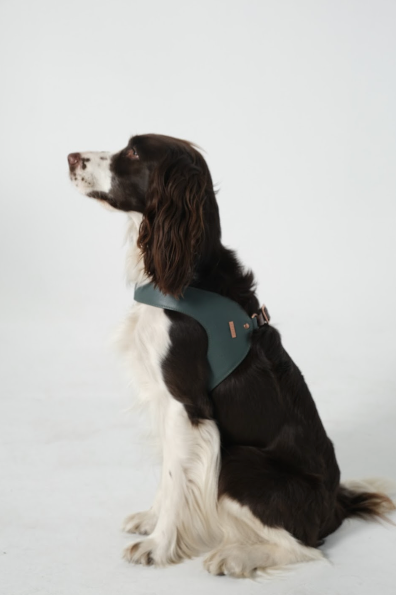 Hunter Leather Dog Harness Green