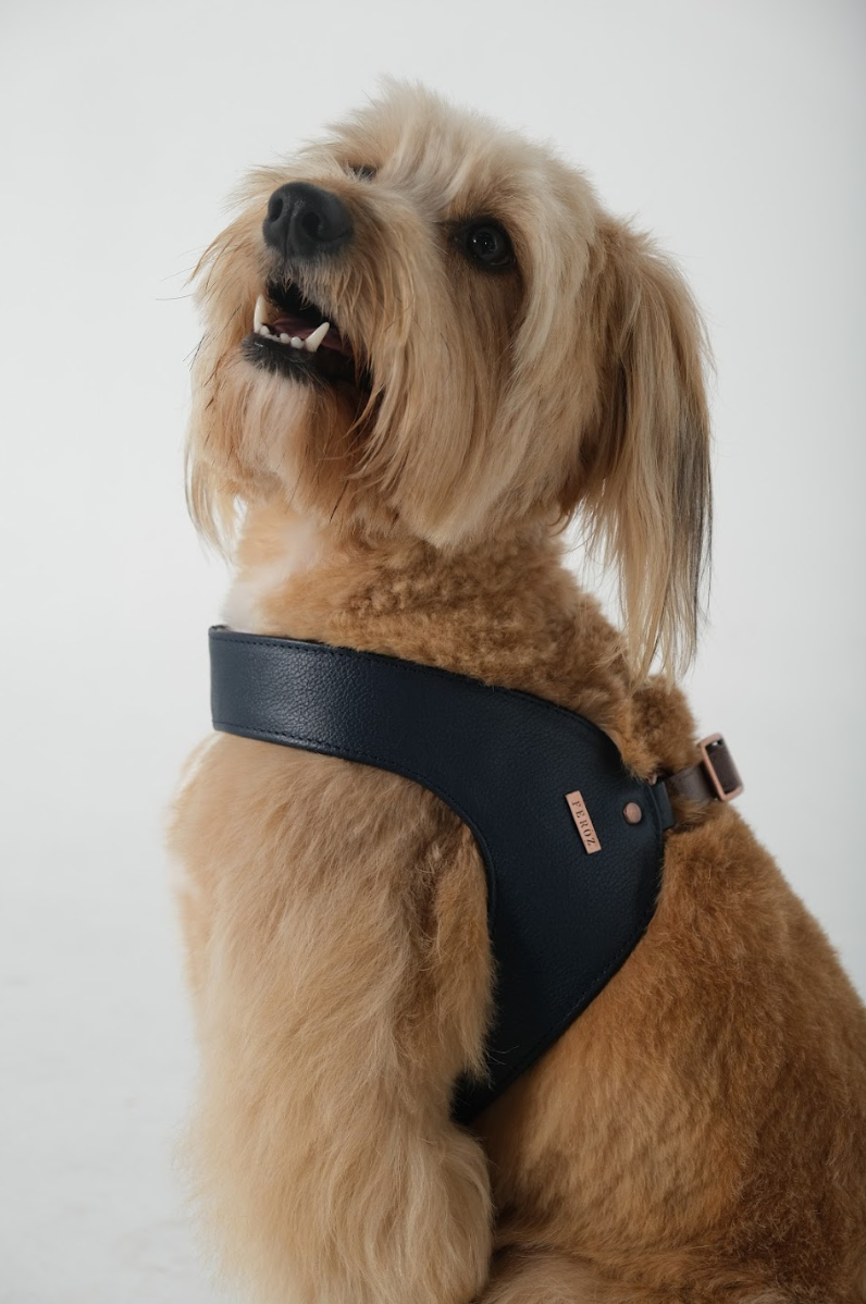 Hunter Leather Dog Harness Navy