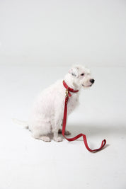 Scarlet red leather leash