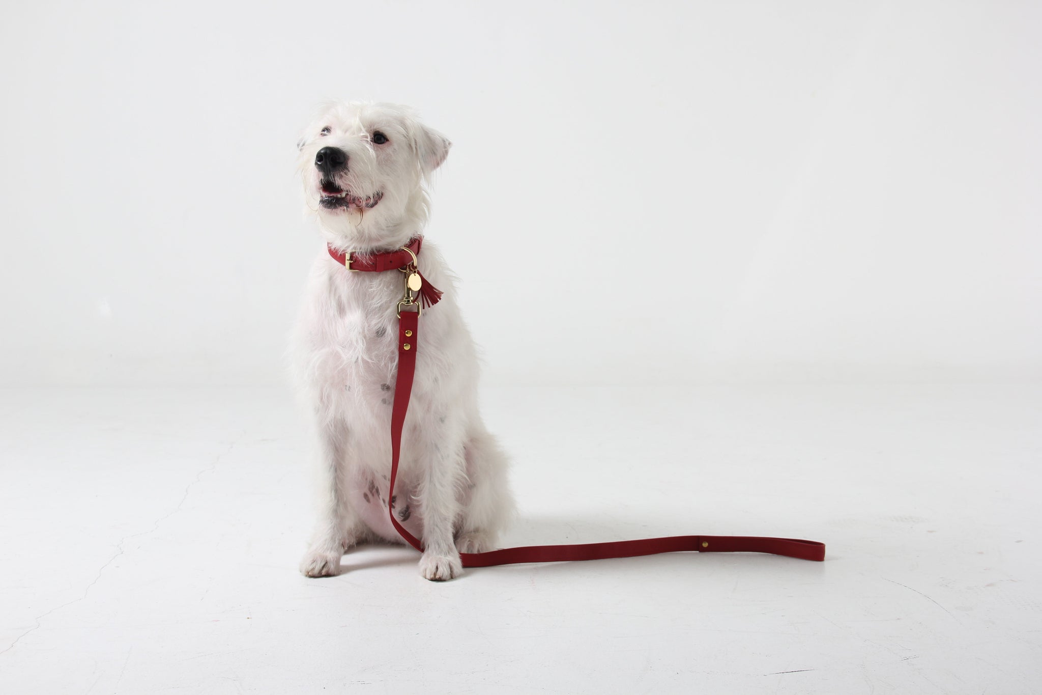Scarlet red leather dog leash