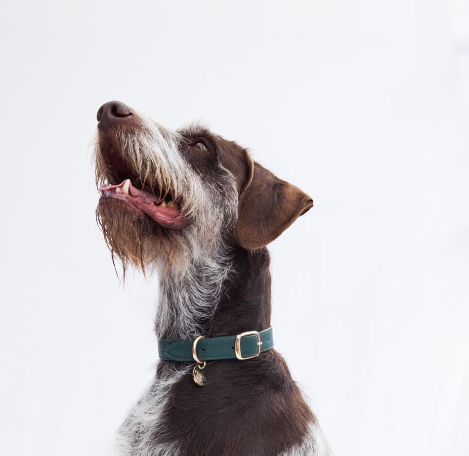 Green pine leather dog collar