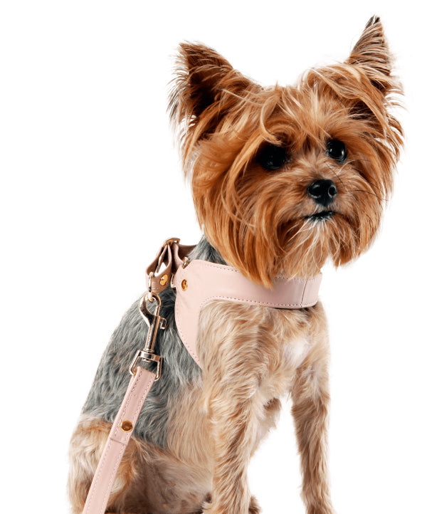 Dusty rose leather dog harness