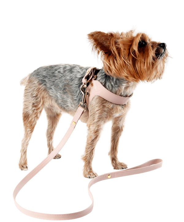 Dusty rose leather dog harness