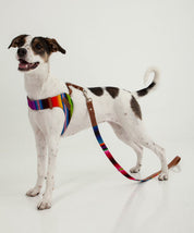 Artisan Maya harness
