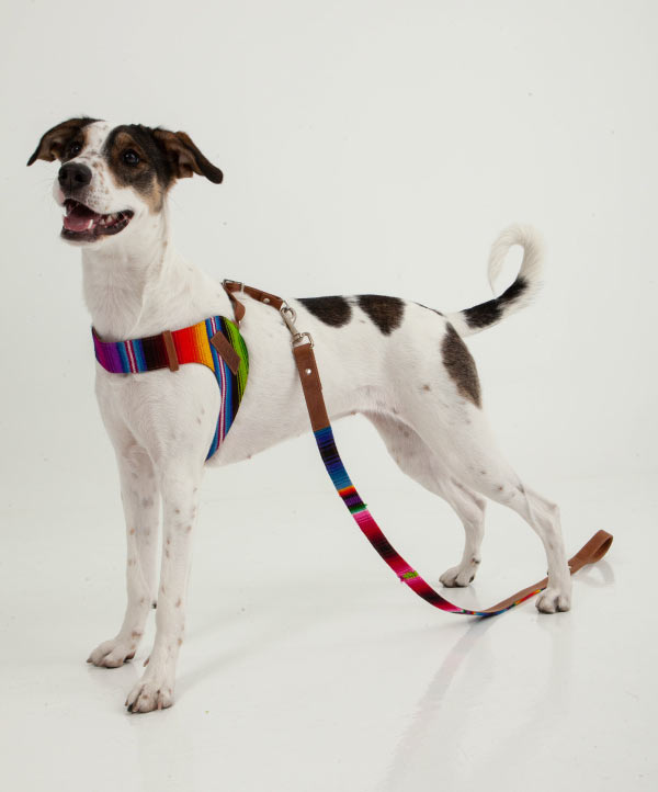Artisan Maya harness