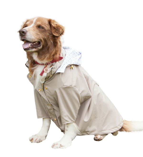 chaqueta impermeable beige - Feroz