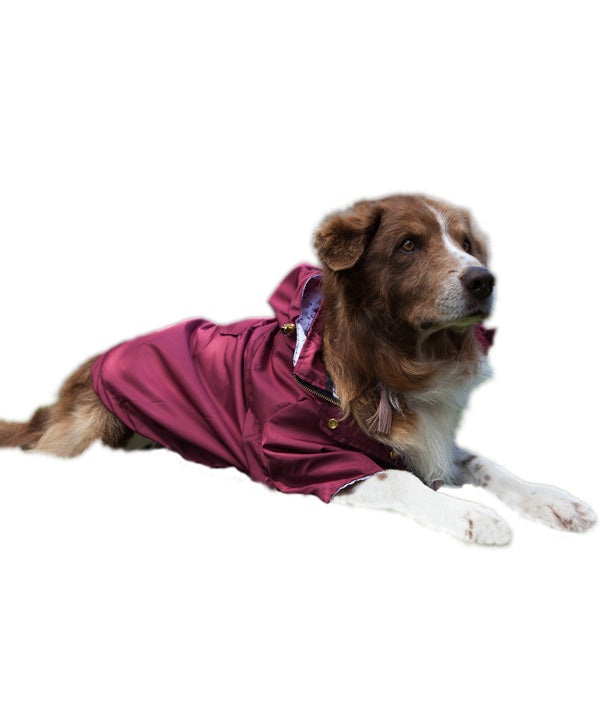 Ruby raincoat