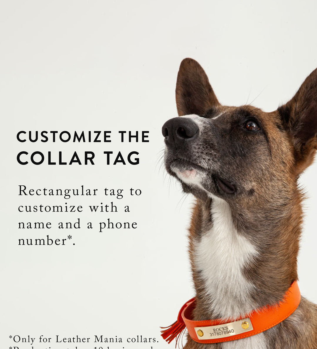 customized-rectangular-tag-website_d69ef8e8-e03a-49fa-9db1-1c8c8facd314.jpg