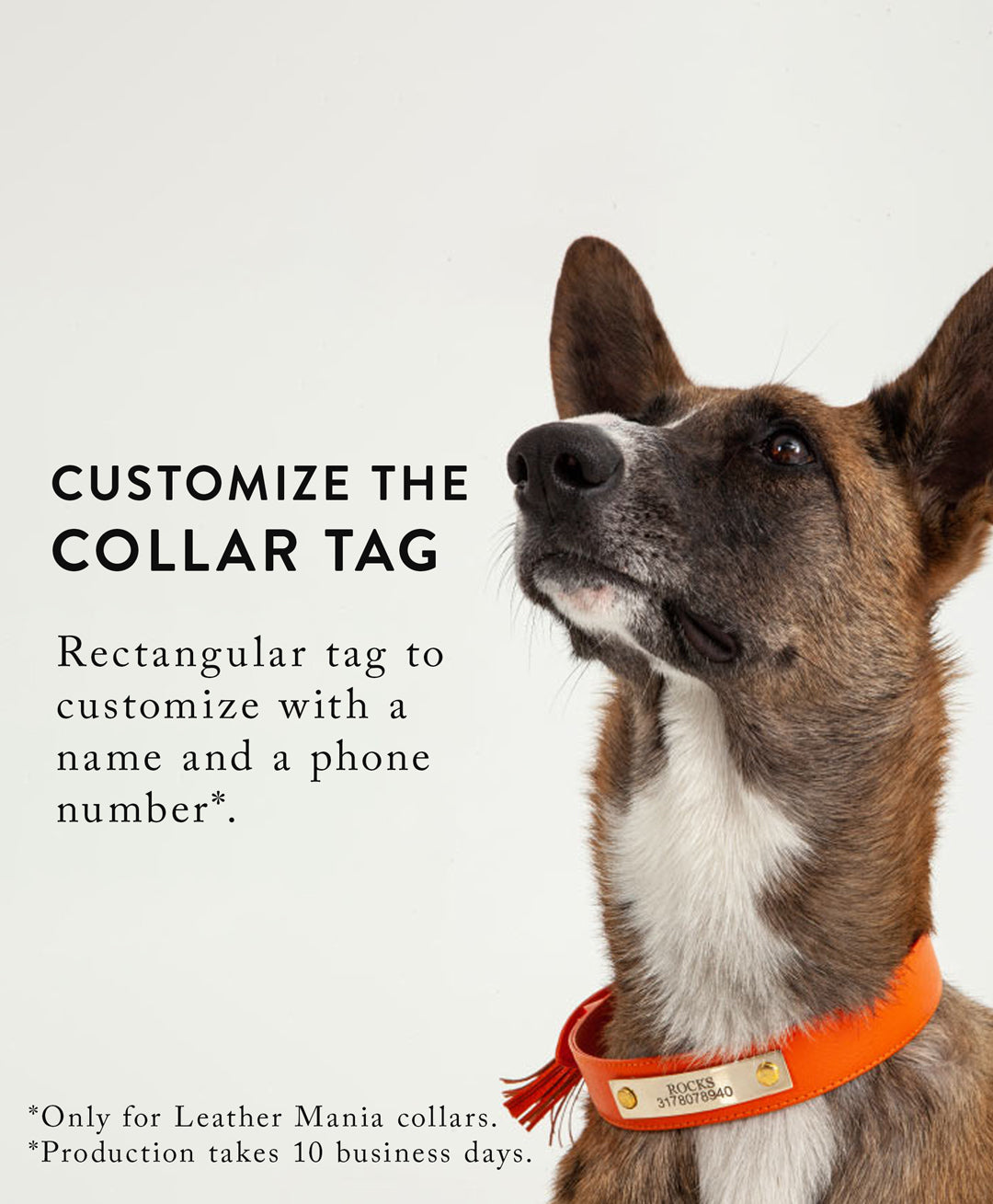 Dusty rose leather dog collar