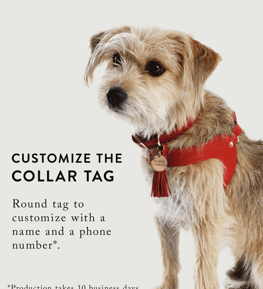 customized-round-tag-website_bd65c595-705c-4f76-be73-76788bedc313.jpg