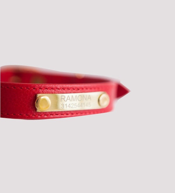 rojo-placa_8fce2415-9a34-49c7-8075-e3aef29cace9.jpg