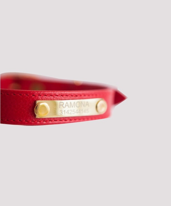 Scarlet red leather dog collar